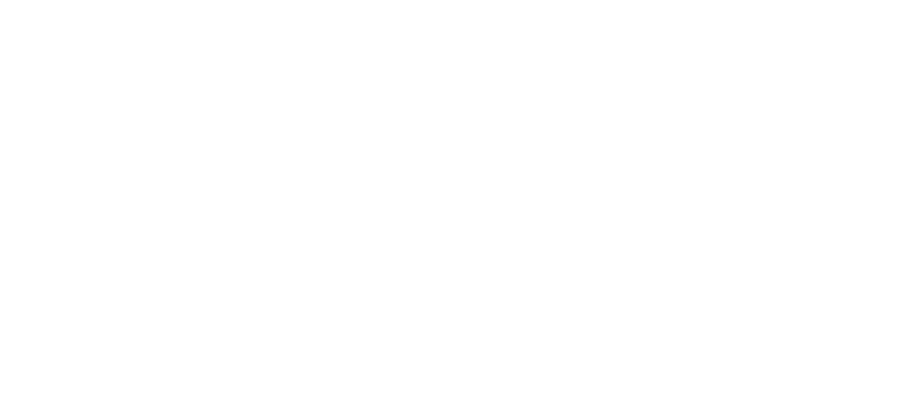 ALZ GmbH